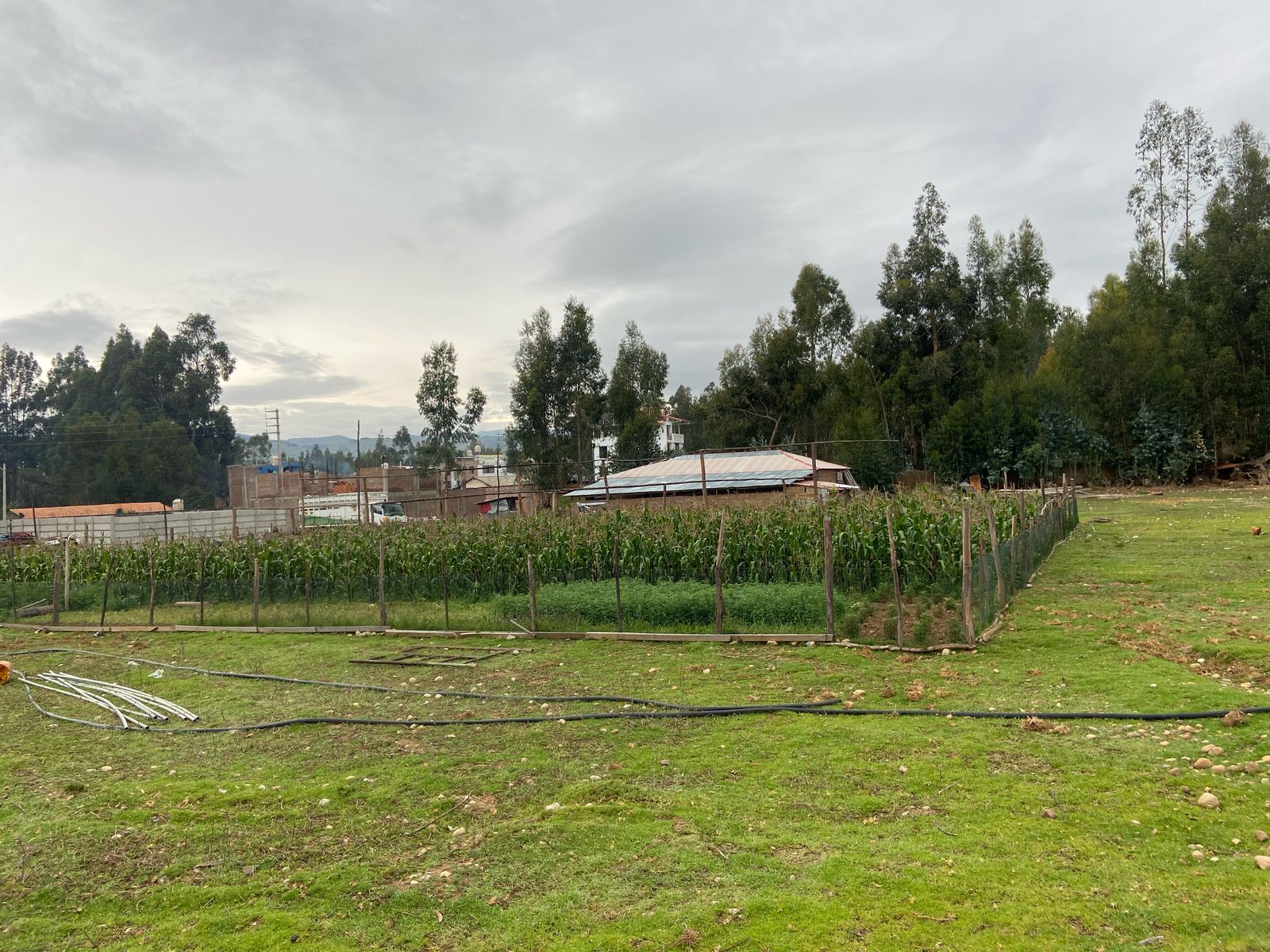 Cercanía al hospital
